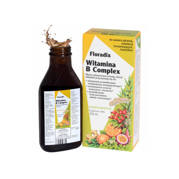 Witamina B Complex 250ml Floradix