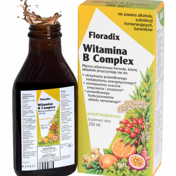 Witamina B Complex 250ml Floradix