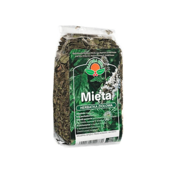 mięta
