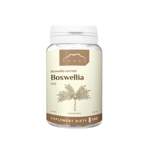Boswellia 100kaps. 500mg Nanga