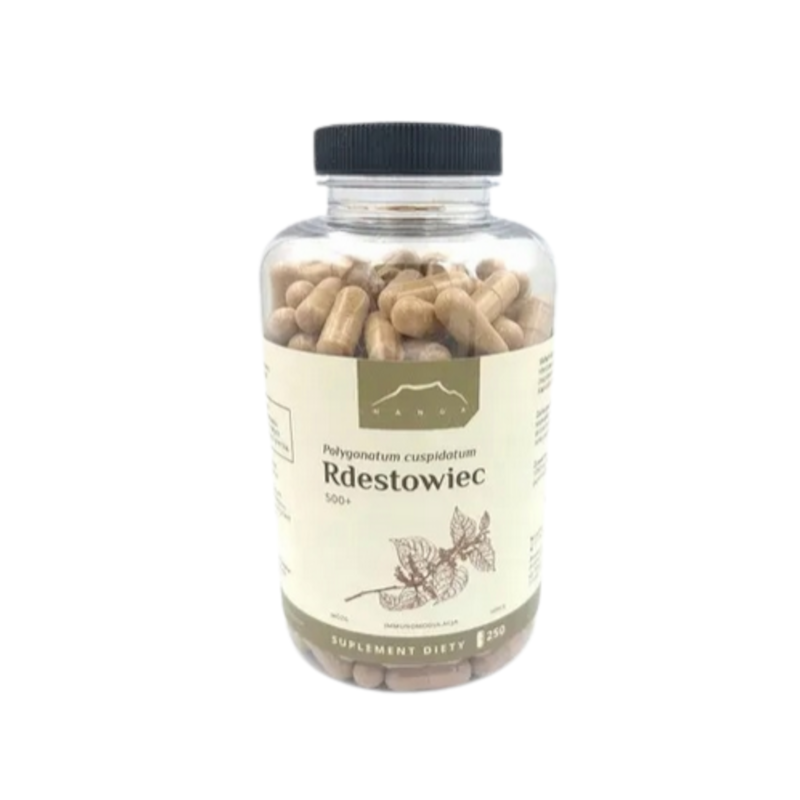 Rdestowiec japoński kapsułki x 500 mg 250kaps.