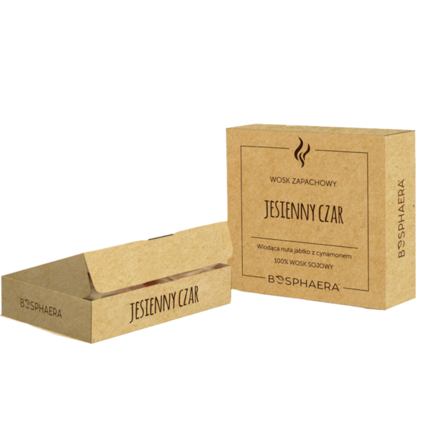 Wosk sojowy jesienny czar 40g Bosphaera