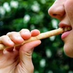 miswak-patyczek-do-czyszczenia-zebow-i-dziasel-bez-pasty-naturalna-szczoteczka-unicorn